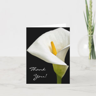 3 Elegant Cala Lily -Thank You Card