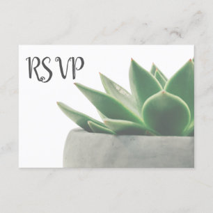 3 Entree Choice Modern Green Succulent RSVP Card