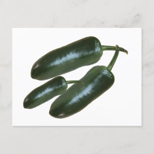 3 Fresh Green Jalapeno Peppers Photo Still Life Postcard