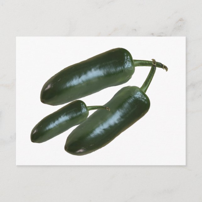 3 Fresh Green Jalapeno Peppers Photo Still Life Postcard (Front)
