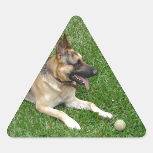 3 german-shepherd-laying.png triangle sticker (Front)