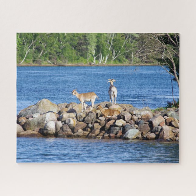 3 Goats on Rocks jigsaw puzzle (Horizontal)