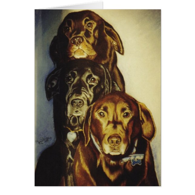 "3 Labradors" (Front)