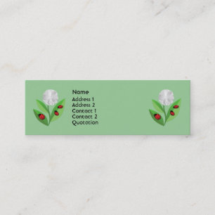3 Ladybugs Mini Business Card