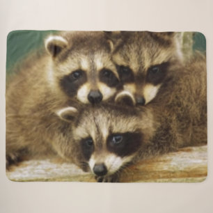 3 LITTLE RACCOONS SHERPA BLANKET