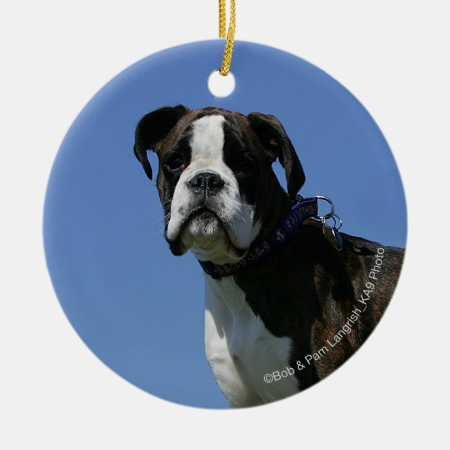 3 Month Old Boxer Puppy Ceramic Tree Decoration (Front)
