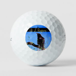 (3 Pack) Wildlife Raven Bird Personalised Golf Balls