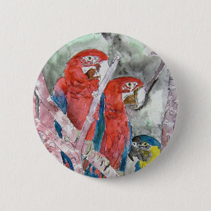 3 parrots bird animal wildlife zoo watercolor art 6 cm round badge