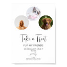 3 Pet Wedding Party Favour Modern Wedding Dog Trea