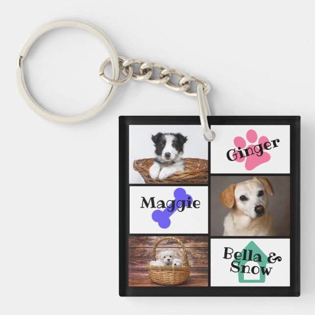 3 Photo Pet Keychain (Front)