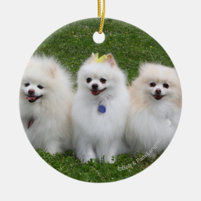 3 Pomeranians Sitting Ceramic Tree Decoration (Front)