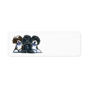 3 Portuguese Water Dogs