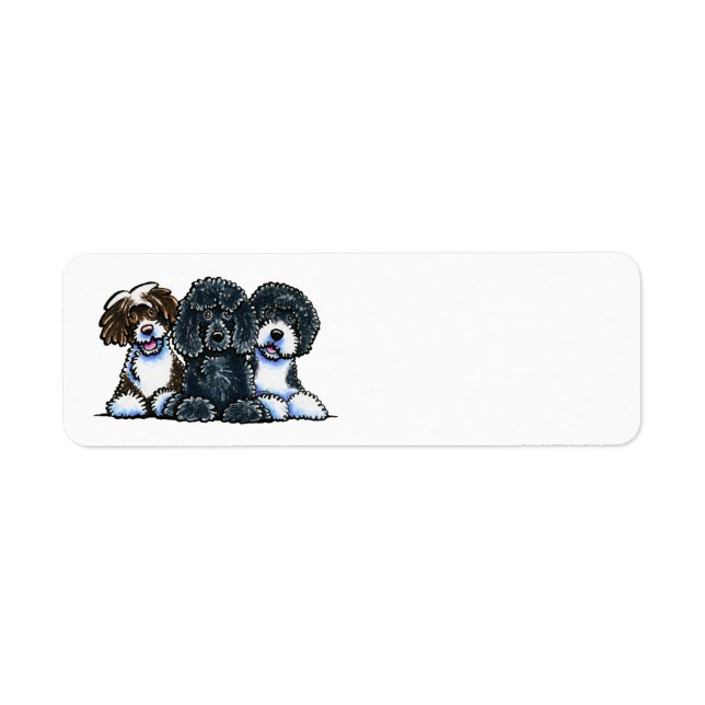 3 Portuguese Water Dogs (Front)