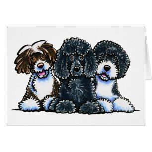 3 Portuguese Water Dogs
