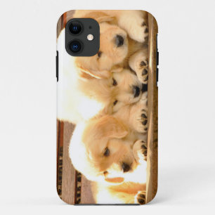 3 Puppies iPhone 5 Case