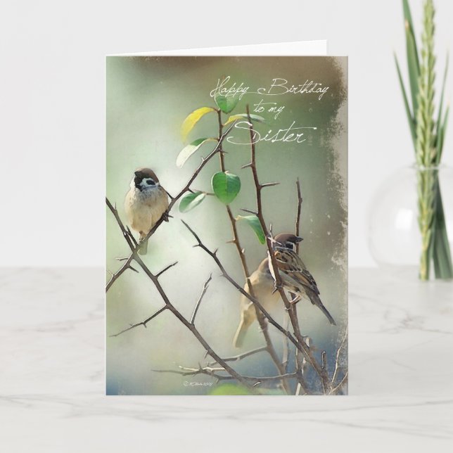 3 Song Birds Resting Birthday Card for your Sister (Front)
