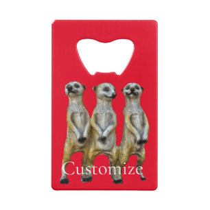 3 Standing Meerkats Thunder_Cove