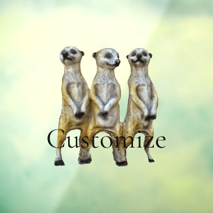3 Standing Meerkats Thunder_Cove