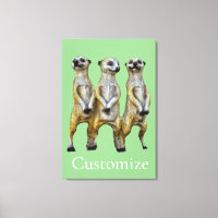 3 Standing Meerkats Thunder_Cove 