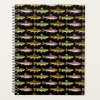 3 Trout for Fish Lovers