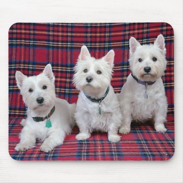 3 Westies Mouse Pad (Front)