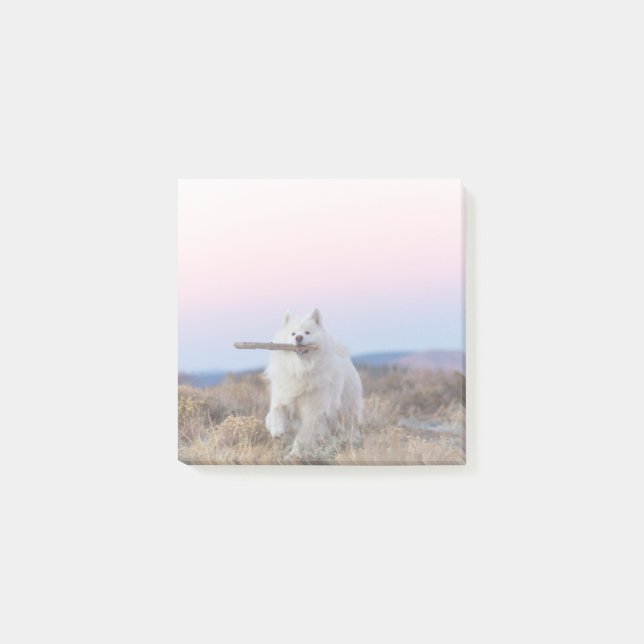 3"x3" Notes - Branch Manager (Front)