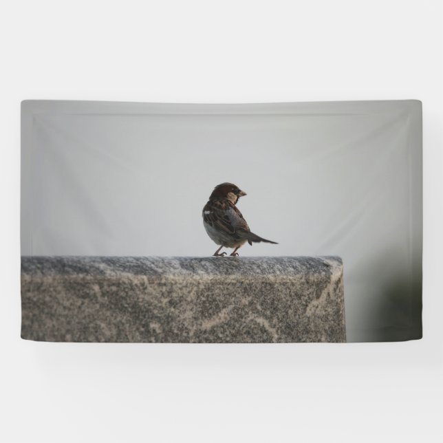 3' x 5' Banner (Horizontal)