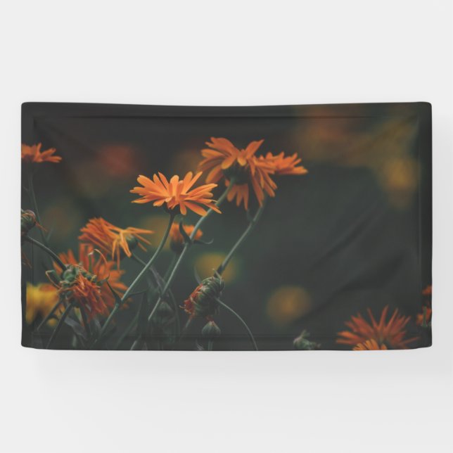3' x 5' Banner (Horizontal)