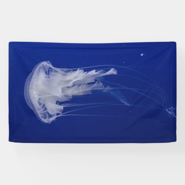 3' x 5' Banner (Horizontal)