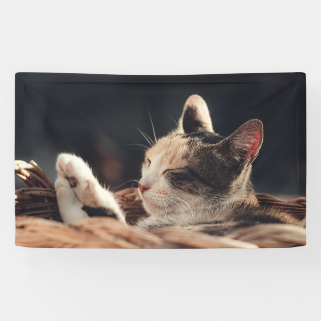 3' x 5' Banner (Horizontal)