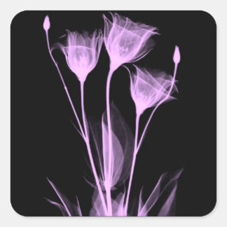 3 X-Ray Flowers Wine Label