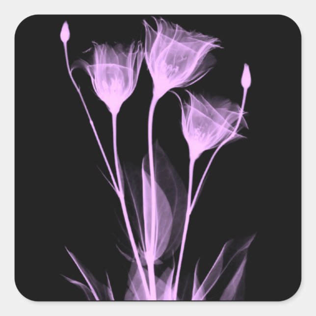 3 X-Ray Flowers Wine Label (Front)