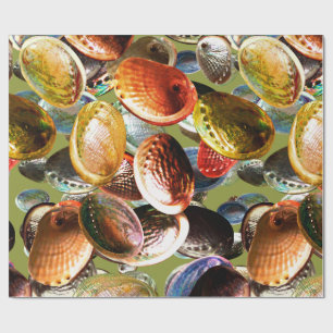 3D Abalone Colourful Seashell Wrapping Paper