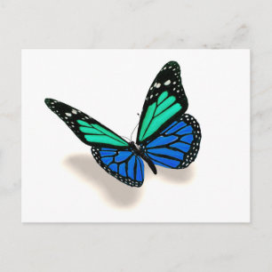 3D butterfly Postcard