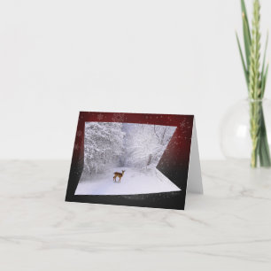 3D Illusion "Snowy Dreams" - Winter Greeting Card
