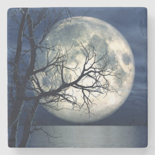 3D Landscape Background With Moon Over The Sea Stone Coaster