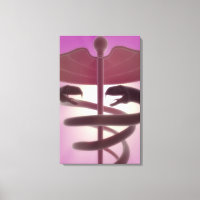 3d rendered medical caduceus