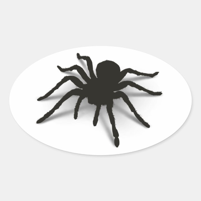 3D Spider Oval Sticker (Front)