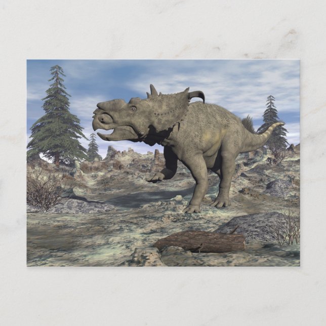 3D to surrender Postcard (Front)