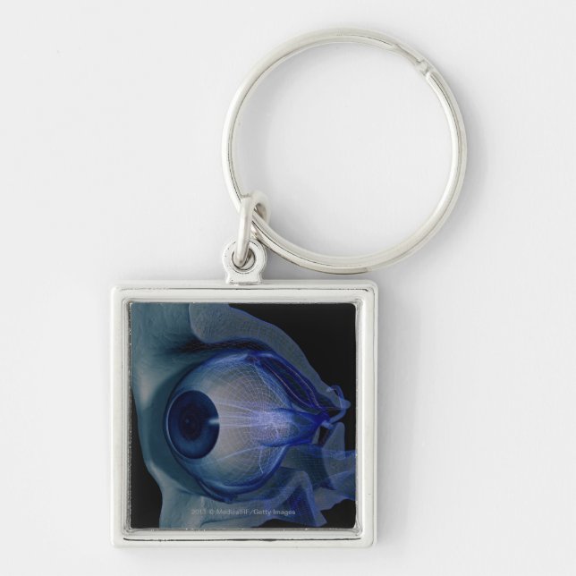 3d wireframe of the eye muscles in a socket key ring (Front)