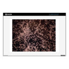 3D Yeast microscopic wet mount