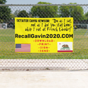 3ft x 5ft recallgavin2020 banner