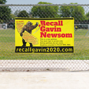 3ft x 5ft recallgavin2020 banner