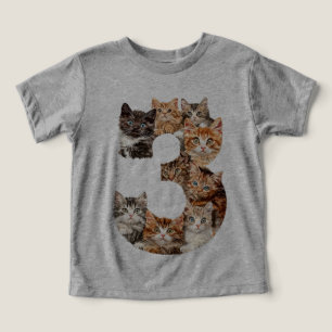  3rd Birthday Kittens Cats Themed 3 Year Old Kids