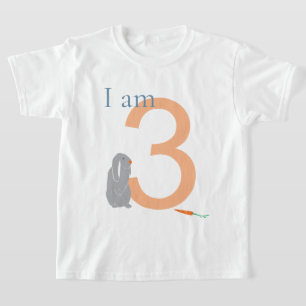 3rd Birthday Modern Minimal Grey Bunny T-Shirt
