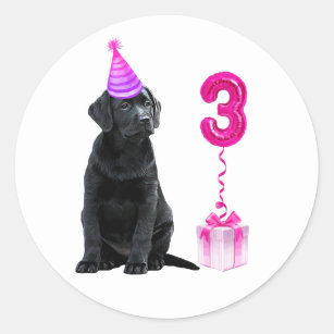 3rd Birthday Puppy Theme- Cute Dog Pink Girl Pawty Classic Round Sticker