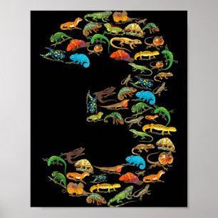 3rd birthday reptiles lizards 3 year old birthday poster