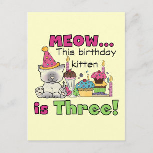 3rd Kitten Birthday T-shirts and Gifts Postcard