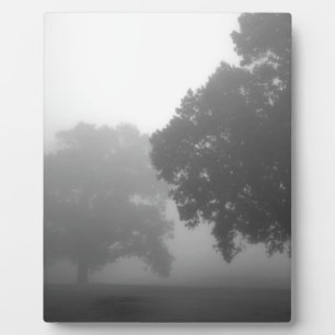 3trees plaque