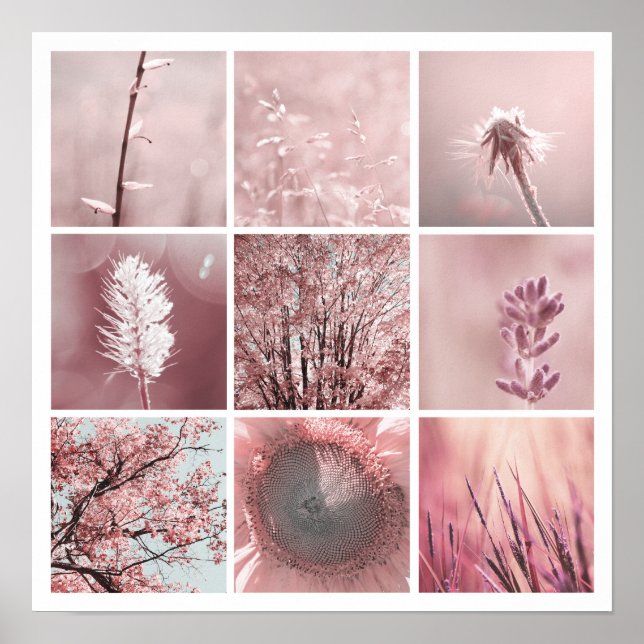 3x3 pink photos Print (Front)